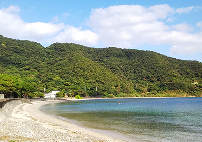 住んでいる地域の魅力・よかったところを教えてください。